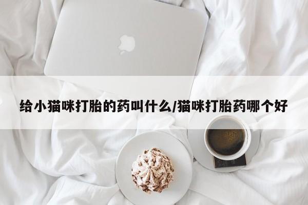 买流产药的微信联系方式给小猫咪打胎的药叫什么/猫咪打胎药哪个好