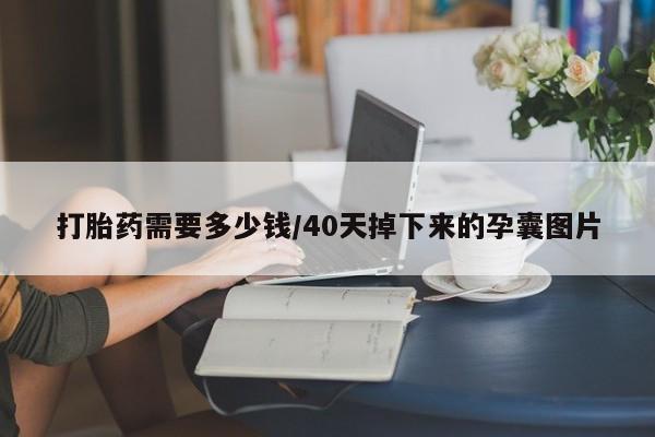 买流产药的微信联系方式打胎药需要多少钱/40天掉下来的孕囊图片
